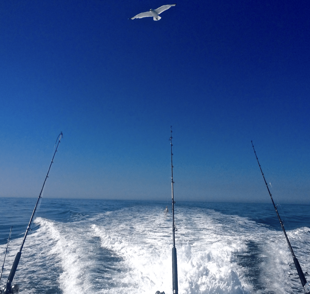 Fishing Destin FL